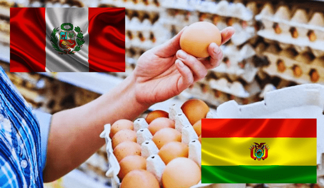 Desde junio, el contrabando de huevos provenientes de Bolivia ha registrado un aumento considerable. Foto: composición LR/El Peruano/ iStock/difusión