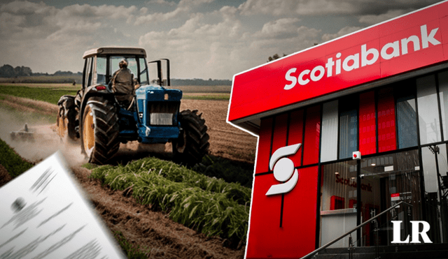 Manuel Talledo señala que en los reportes de SBS figura que le debe más de 600.000 dólares a Scotiabank.Foto: composición de Jazmín Ceras/La República/Scotiabank/Freepik