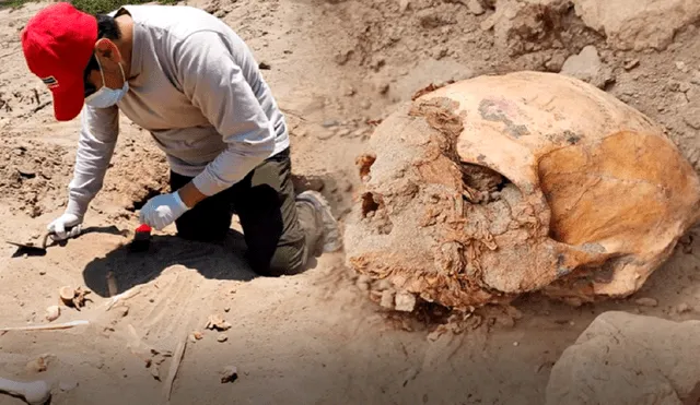 Arqueólogos hallaron cuerpos humanos en Lambayeque. Foto: Andina