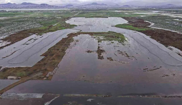 Algunas estructuras fueron diseñadas por el arquitecto británico Norman Foster, ahora están casi bajo el agua. Foto: FPDT