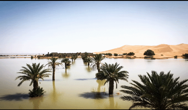 Un fenómeno climático sin precedentes ha azotado el desierto del Sahara, donde torrenciales lluvias inundaron varias áreas del sureste de Marruecos, creando lagos temporales. Foto: @AfricaFactsZo/Twitter