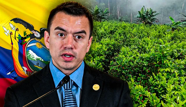 Es relevante señalar que el informe se enfoca en la cantidad de hectáreas de plantación y no la cantidad de droga producida. Foto: Composición LR/AFP/Criterio. Es relevante señalar que el informe se enfoca en la cantidad de hectáreas de plantación y no la cantidad de droga producida. Foto: Composición LR/AFP/Criterio.