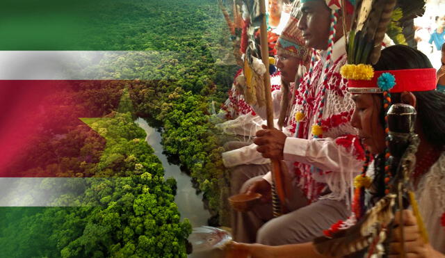 Cuenta con una diversidad lingüística notable y una historia de colonización que ha moldeado su identidad y cultura. Foto: composición LR/Organización del Tratado de Cooperación Amazónica