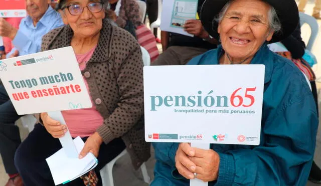 Ejecutivo aprobó aumento en el programa Pensión 65: adultos mayores podrán beneficiarse. Foto: Andina.