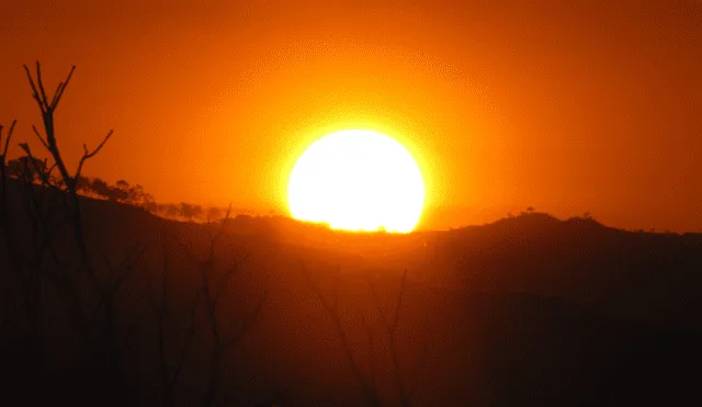 El máximo solar corresponde a un período de máxima actividad del Sol dentro de su ciclo solar. Foto: Martin Jaramillo / Flickr