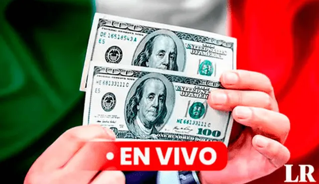 Precio del dólar en México hoy, 22 de octubre de 2024, según Banco de México. Foto: Composición LR/CDN/Freepik