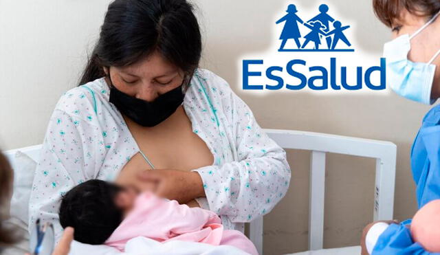 Madres de familia aseguradas en EsSalud pueden acceder al bono que brinda para ayudarlas en los primeros gastos. Foto: Composición LR/Andina.