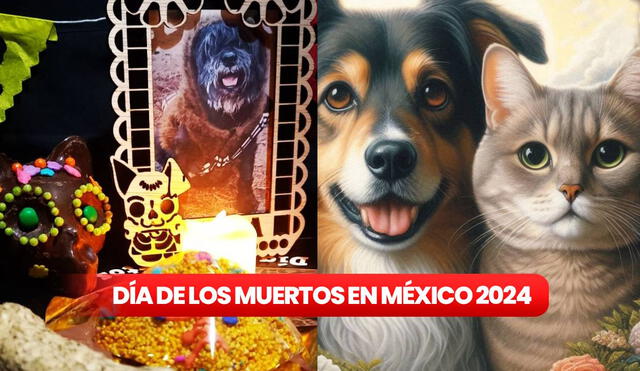 El Día de Muertos en México abarca varios días, uno de los cuales es dedicado a las mascotas de las familias. Foto: composición LR/X/TolucaHoy/Copilot