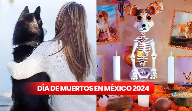 Conoce una guía para crear una ofrenda adecuada para tus queridas mascotas fallecidas por el Día de Muertos en México 2024. Foto: composición LR/Depositfotos/SENASICA