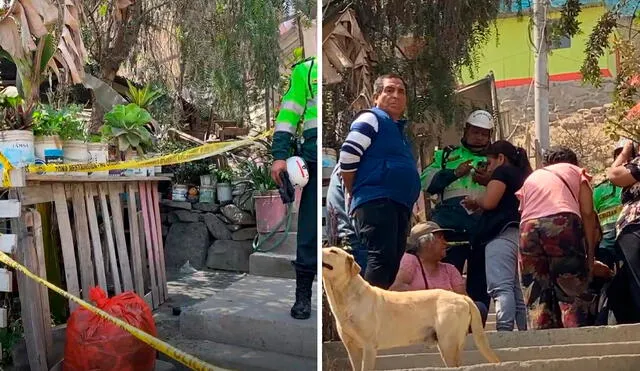 Sujetos asesinaron a balazos a toda una familia en el cerro La Libertad de Huaycán. Foto: composición LR/difusión