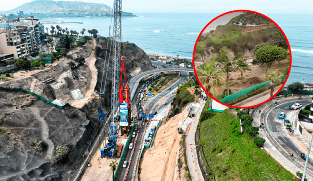 Vecinos piden que autoridades suspendan tala de árboles en Barranco. Foto: captura de pantalla/ canal N