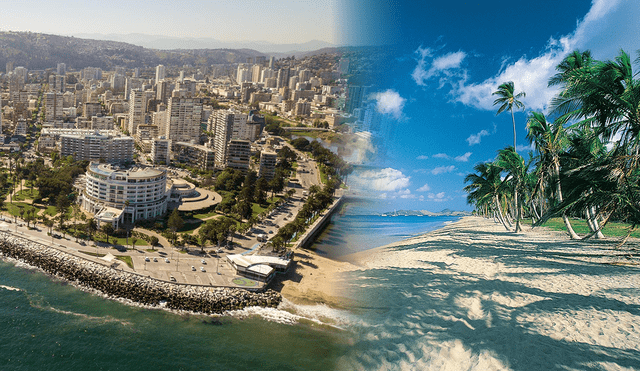 Medellín, Viña del Mar y Loja se destacan por sus temperaturas estables, baja humedad y días soleados, condiciones que las convierten en destinos turísticos muy valorados en América Latina. Foto:  Pexels/Viña del Mar