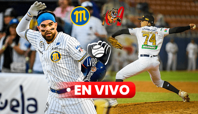 Este será el segundo juego de Magallanes vs Tigres por la temporada regular de la LVBP 2024-25. Foto: composición LR/Magallanes/Tigres