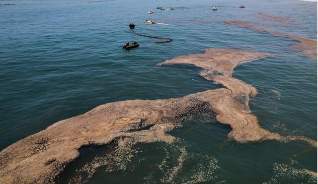 La SPDA respondió con una estrategia de varios niveles que combina el análisis y la defensa de la justicia ambiental