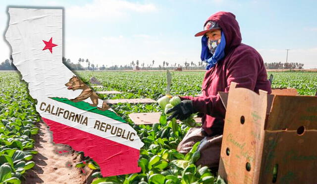 Muchos californianos sostienen que el alza de precios en el estado hace urgente un ajuste en los salarios. Foto: Univisión