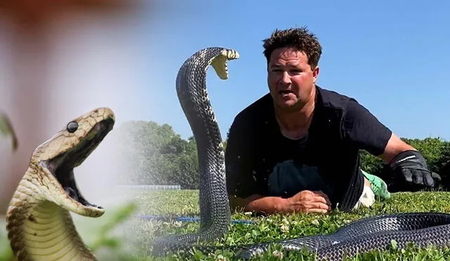 Dingo Dinkelman, apodado “el Steve Irwin sudafricano”, falleció debido a una reacción alérgica al veneno de serpiente. Foto: composición LR/dingodinkelman/Facebook