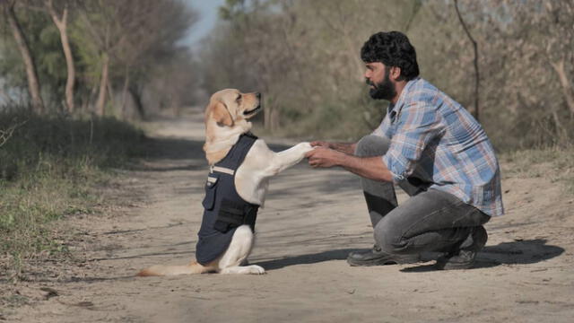 Película 'Charlie, un perro especial' lleva un mensaje contra el maltrato animal en los criaderos y la venta de mascotas. Foto: difusión