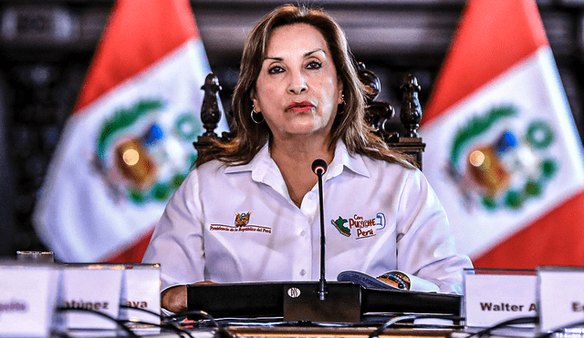 PJ declaró fundado control de plazos solicitado por Dina Boluarte. Foto: Presidencia