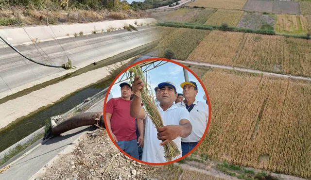 Las consecuencias de la crisis hídrica que afecta a Piura alcanzan a los agricultores. Foto: composición LR/Claudia Beltrán/Maribel Mendo