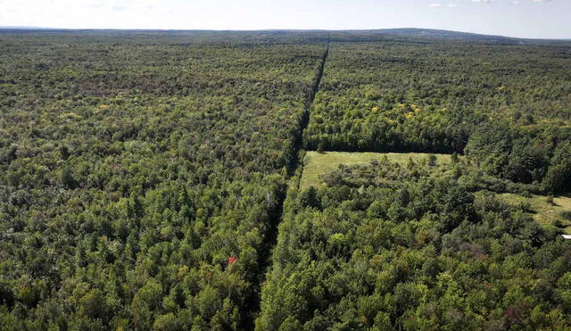 La frontera terrestre más larga del mundo, que separa a Estados Unidos y Canadá, se extiende por 8.891 kilómetros y carece de muros. Foto: CBC