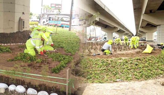 La Municipalidad de Lima recupera más de 17.000 m² de áreas verdes en Lima. Foto: composición LR/MML