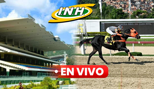 El Hipódromo La Rinconada tendrá tres carreras preparatorias para la Serie Hípica del Caribe este 10 de noviembre. Foto: composición LR / INH