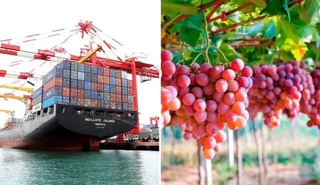 Las exportaciones peruanas ascendieron a US$ 64.355 millones en 2023, por lo que fue 1.1% superior al año anterior, según el Instituto Nacional de Estadística e Informática. Foto: Andina. Las exportaciones peruanas ascendieron a US$ 64.355 millones en 2023, por lo que fue 1.1% superior al año anterior, según el Instituto Nacional de Estadística e Informática. Foto: Andina.
