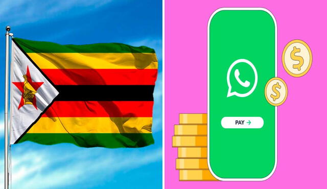 Para frenar la desinformación, Zimbabue ha decidido cobrar a quienes tienes grupos de WhatsApp. Foto: amaga/Whaticket