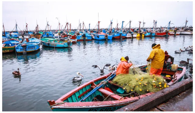 Los gremios de pescadores artesanales afirman que el retraso de PRODUCE para reglamentar la Ley 31749 favorece a la pesca ilegal.