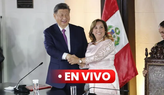 Se inauguró el Megapuerto de Chancay en una ceremonia virtual presidida por Dina Boluarte y que contó con la participación de Xi Jinping. Foto: Marco Cotrina