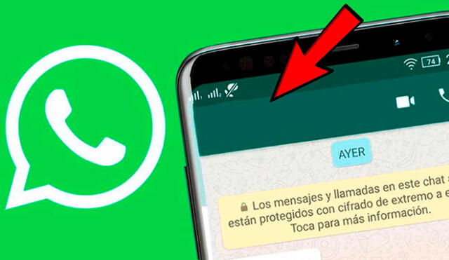 Truco de WhatsApp funciona en Android y iPhone. Foto: AdslZone