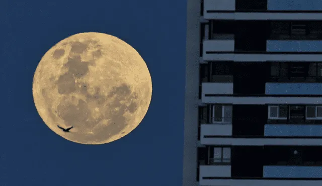 Una superluna es una ocasión para ver a la Luna más grande de lo normal. Foto: difusión