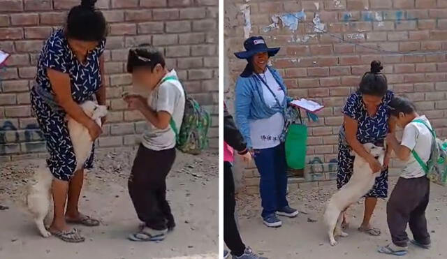 "La mejor forma de distraer a tu mejor amigo", reaccionaron usuarios. Foto: composición LR/ TikTok