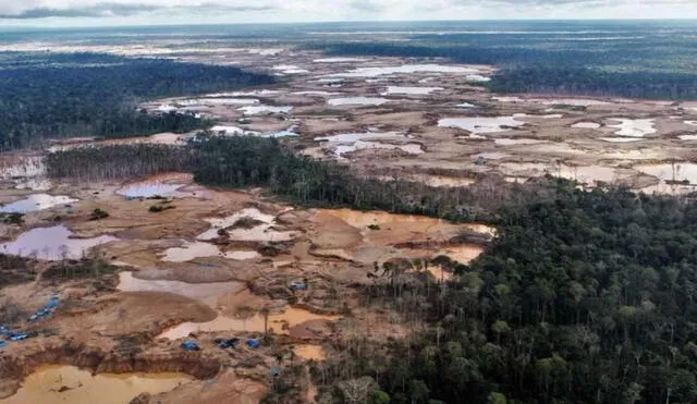 Abordarán el impacto de las economías ilegales en la naturaleza y en la población. También lo concerniente al desarrollo económico sostenible.