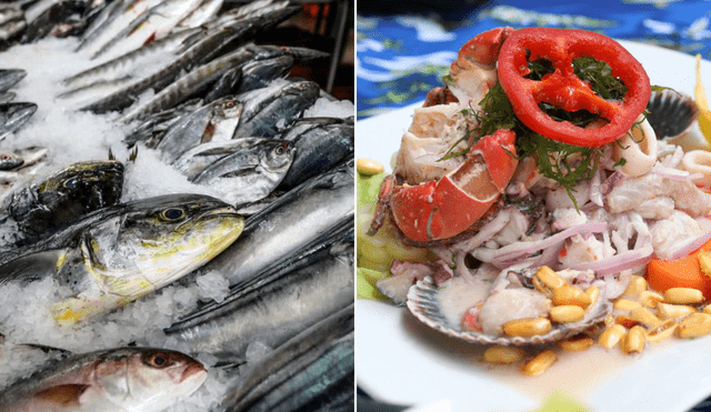 La riqueza del mar peruano otorga muchos tipos de pescado, pero pocos son selectos para el ceviche. Foto: composición LR/Andina