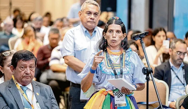 Representación. Comunidades indígenas expresaron sus demandas y presentaron propuestas. Foto: La República