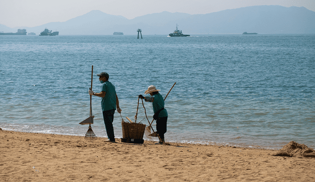 Panamá es el país de América Latina con las playas más limpias, registrando menos de 0,7 ítems de basura por metro cuadrado, según un estudio. Foto: Pexels