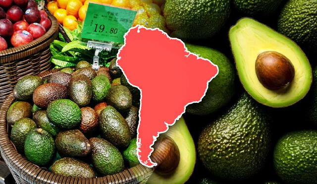 Con envíos que aumentaron un 40% en 2023, un país de América Latina refuerza su papel como proveedor estratégico de palta en China. Foto: composición LR/Alamy Stock/Freepik