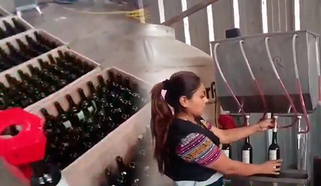 Incautan cerca de 30,000 litros de vino adulterado en fábrica de Puente Piedra/Composición LR/Foto: ATV