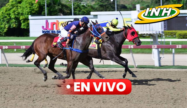 La reunión 45 del año en el Hipódromo La Rinconada constará de 11 carreras. Foto: composición LR / INH