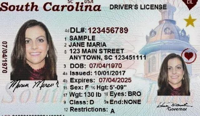 La licencia de conducir y la Real ID son documentos esenciales para los conductores en Carolina del Sur. Foto: Composición LR/La Nación