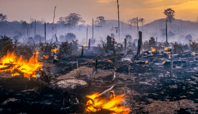 Algunas áreas del país podrían volverse demasiado calurosas para el humano debido a los niveles extremos de calor, según explicaron los especialistas. Foto: La Vanguardia.