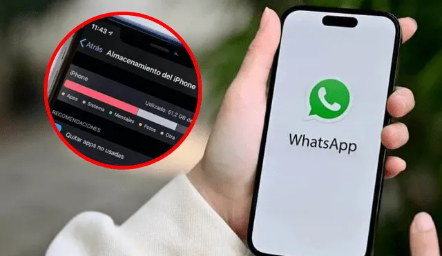 Desactivar la descarga automática de archivos en WhatsApp es un método efectivo. Foto: Composición LR | PN Mar de Plata | La Manzana Mordida.