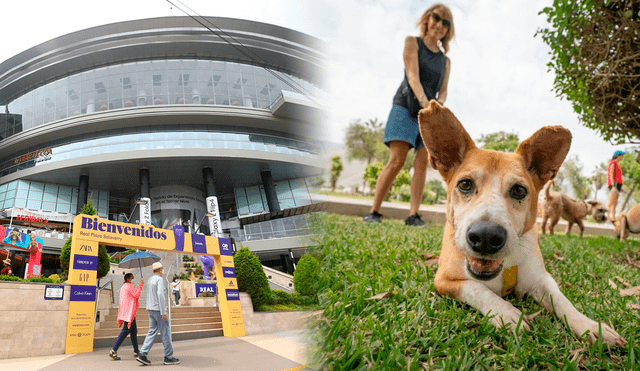 Ahora puedes llevar a tus mascotas a algunos centros comerciales de la capital, siempre y cuando cumplas con su normativa. Foto: composición LR/difusión/Andina