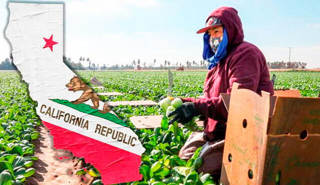 California, conocido por sus políticas progresistas, parece haber dado un giro inesperado. Foto: Univisión