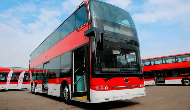 Los buses eléctricos de dos pisos, los primeros de su tipo en Latinoamérica, tienen una longitud de 12 metros y una altura de 4.3 metros. Foto: Transporte sostenible.