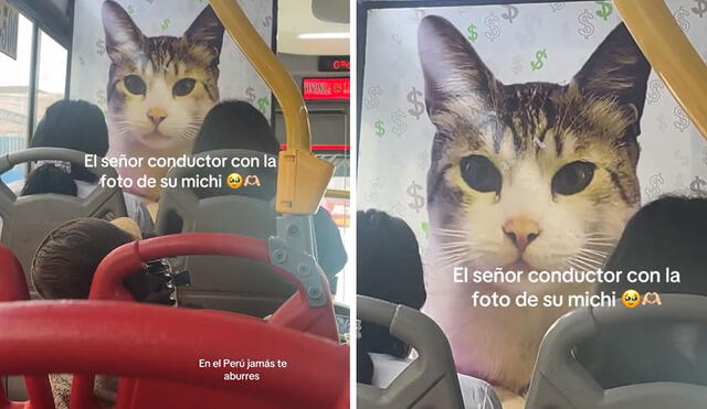 "Necesito subirme a ese bus", reaccionaron usuarios. Foto: composición LR/ TikTok