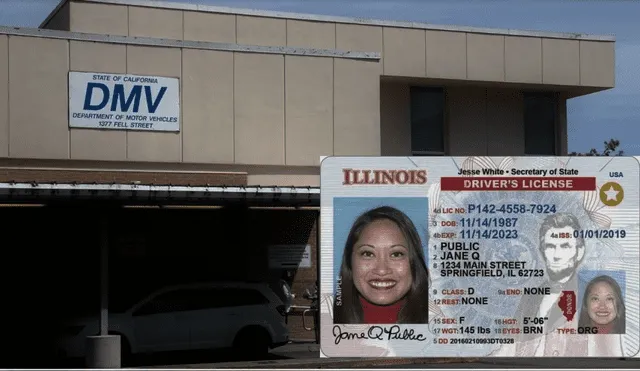 La Real ID en Illinois es clave para millones de inmigrantes indocumentados. Foto: Composición LR/AP Noticias