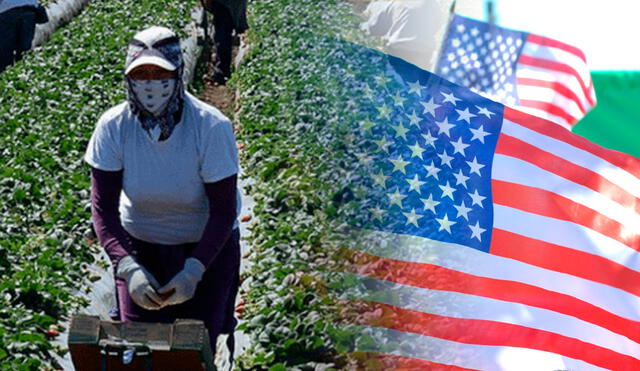 Aún existe la posibilidad de vivir el sueño americano en Estados Unidos con este nuevo beneficio. Foto: composición LR/AFP.