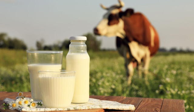 Diversos supermercados tendrían leche contaminada que es vendida en California. Foto: Composición LR/Salud 180